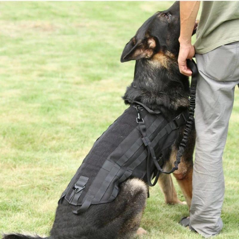 Chaleco Tactico Mascota Dog